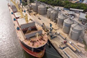 Representing Australian Grain Cargo Export